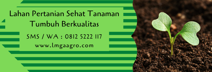 Lahan pertanian,pertanian,budidaya tanaman,tanaman gulma gulma,petani,lmga agro