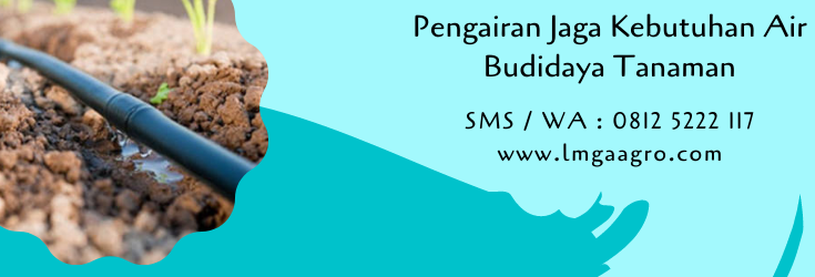 pengairan,irigasi,budidaya tanaman,pertanian,usaha pertanian,lmga agro