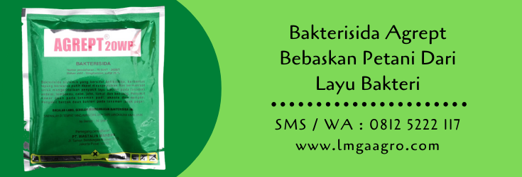 bakterisida,bakterisida agrept,budidaya tanaman,petani,pertanian,lmga agro