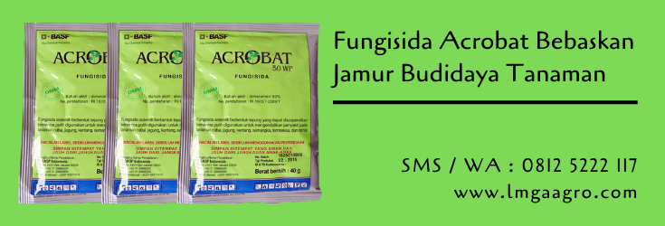 fungisida,fungisida acrobat,hama tanaman,jamur,budidaya tanaman,pestisida,petani,lmga agro