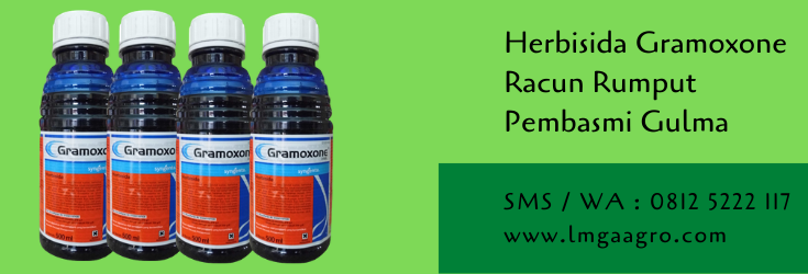 herbisida,herbisida gramoxone,racun rumput,budidaya tanaman,gulma,tanaman gulma,lmga agro