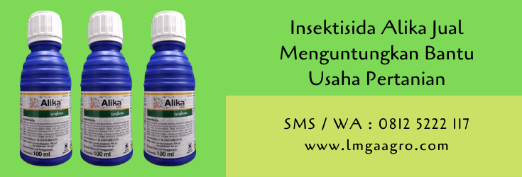 insektisida alika,insektisida,pestisida,obat hama,hama tanaman,pertanian,lmga agro