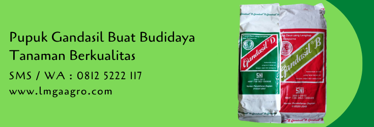 pupuk gandasil,pupuk daun,pupuk pertanian,pupuk,budidaya tanaman,petani,lmga agro