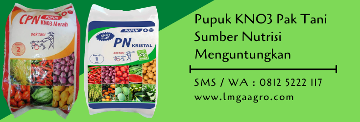 pupuk,pupuk pertanian,pupuk kno3,pemupukan,budidaya tanaman,petani,lmga agro