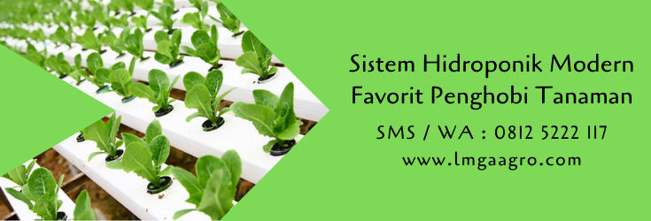 sistem hidroponik,hidroponik,metode hidroponik,budidaya tanaman,pertanian,berkebun,lmga agro