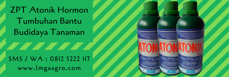 zpt,zpt atonik,zat pengatur tumbuh,budidaya tanaman,pertanian,petani,lmga agro