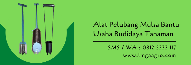 alat pelubang mulsa,alat pertanian,budidaya tanaman,pertanian,petani,lmga agro