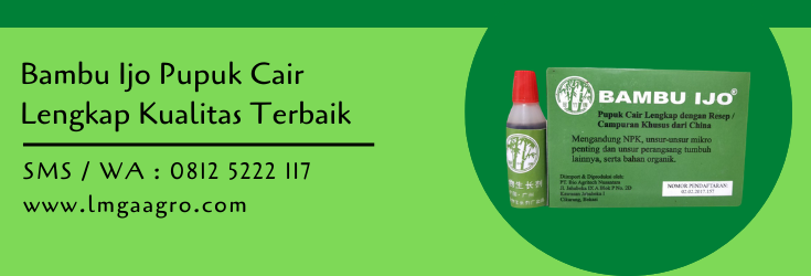 bambu ijo,pupuk,pemupukan,pupuk daun,pupuk pertanian,budidaya tanaman,petani,lmga agro