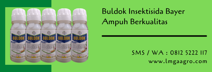 pestisida,insektisida buldok,bayer indonesia,buldok,hama tanaman,budidaya tanaman,lmga agro