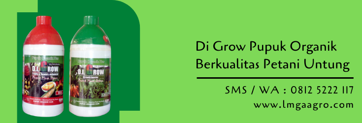 pupuk organik,pupuk digrow,digrow,pupuk pertanian,petani,budidaya tanaman,lmga agro
