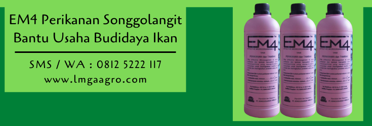 pupuk em4,pupuk organik,em4 perikanan,perikanan,budidaya ikan,lmga agro