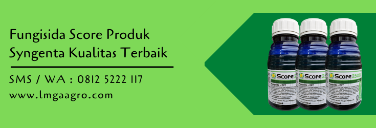 fungisida,hama tanaman,fungisida score,pertanian,petani,lmga agro