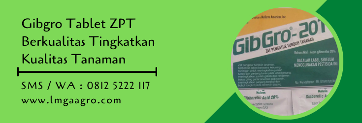 zpt,zat pengatur tumbuh,hormon tanaman,budidaya tanaman,gibgro,giberelin