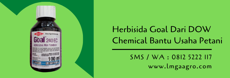 herbisida,herbisida goal,tanaman gulma,gulma,budidaya tanaman,lmga agro