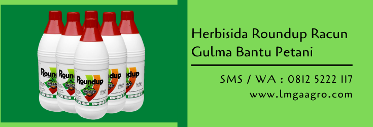 herbisida,herbisida roundup,budidaya tanaman,petani,tanaman gulma,pertanian,lmga agro