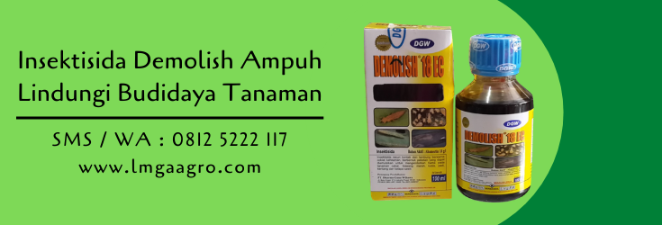insektisida,insektisida demolish,demolish adalah,pestisida,budidaya tanaman,pertanian,hama serangga,petani,toko pertanian,toko pertanian terdekat,lmga agro