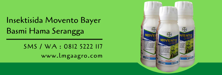insektisida,insektisida movento,hama tanaman,budidaya tanaman,bayer,pertanian,petani,lmga agro