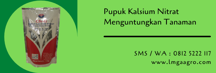 pupuk,pupuk kalsium,pupuk kalsium nitrat,pak tani,pertanian,pupuk tunggal,lmga agro