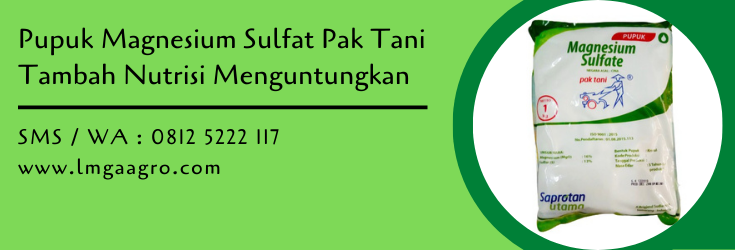 pupuk,budidaya tanaman,pupuk magnesium sulfat,pupuk pertanian,petani,nutrisi,unsur hara,lmga agro