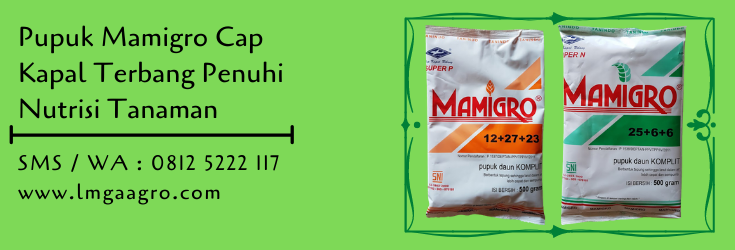 pupuk,pemupukan,pupuk pertanian,pupuk daun,budidaya tanaman,petani,lmga agro
