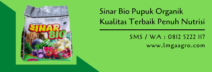 sinar bio,pupuk organik,pupuk hayati,petrokimia,pertanian,budidaya tanaman,pertanian,petani,lmga agro