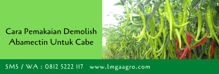 cara pemakaian demolish,insektisida demolish,demolish adalah,insektisida,pestisida,toko pertanian,toko pertanian terdekat,lmga agro