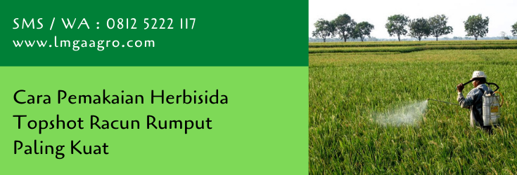 cara pemakaian herbisida topshot,herbisida,herbisida topshot,racun rumput,pestisida,lmga agro