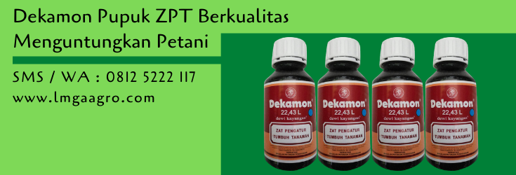 dekamon,zpt,pupuk zpt,zpt dekamon,budidaya tanaman,pertanian,petani,lmga agro