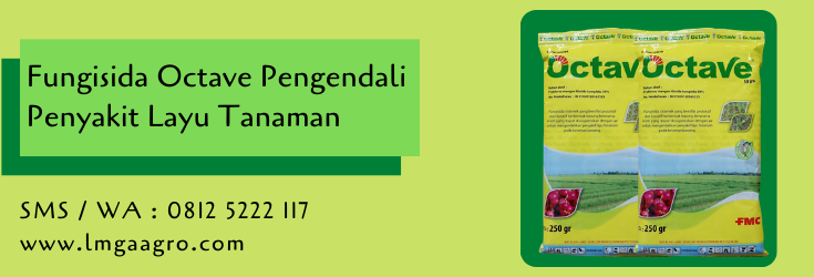 fungisida,fungisida octave,budidaya tanaman,pertanian,hama tanaman,obat hama,petani,lmga agro