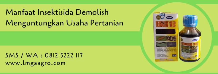 manfaat insektisida demolish,insektisida demolish,insektisida,obat hama,pestisida,pertanian,lmga agro