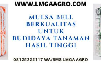 toko pertanian, indonesia, bertani, mulsa plastik, tanaman, budidaya, budidaya tanaman