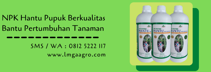 npk hantu,pupuk hantu,pupuk npk,pupuk tanaman,budidaya tanaman,pertanian,petani,lmga agro