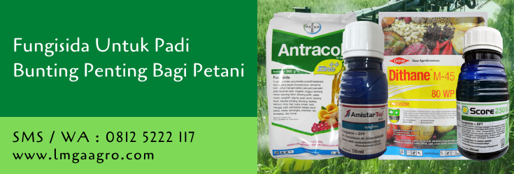 fungisida untuk padi bunting,petani,budidaya tanaman,tanaman padi,padi,lmga agro,toko pertanian,toko tani,toko pertanian terdekat
