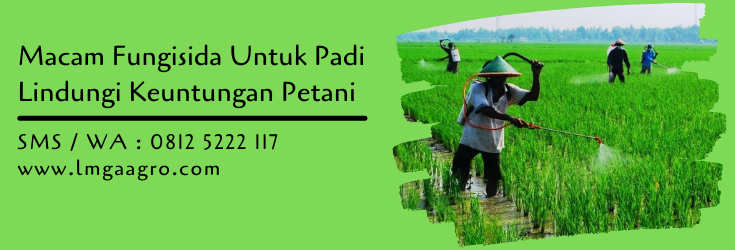 macam fungisida untuk padi,fungisida padi,fungisida,petani,lmga agro