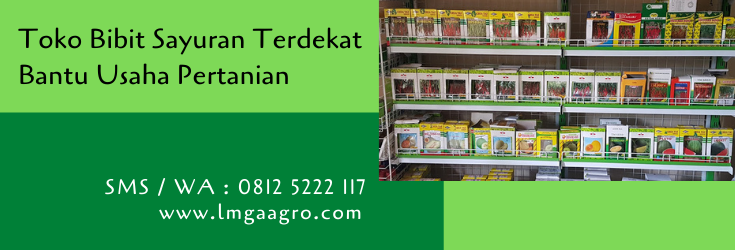 toko bibit sayuran terdekat,toko pertanian,toko online,bibit sayuran,lmga agro