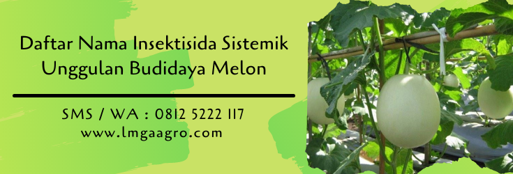 daftar nama insektisida sistemik,budidaya melon,benih melon,lmga agro