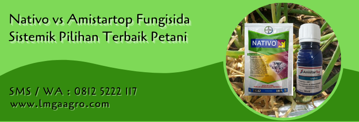 nativo vs amistartop,fungisida,pestisida,petani,budidaya tanaman