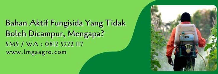 bahan aktif fungisida yang tidak boleh dicampur,fungisida,budidaya tanaman,penyakit tanaman,lmga agro