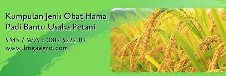kumpulan jenis obat hama padi,budidaya padi,tanaman padi,pestisida padi,lmga agro