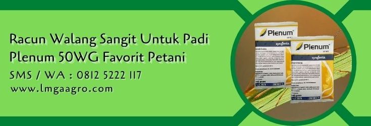 racun walang sangit untuk padi,tanaman padi,budidaya padi,petani,lmga agro