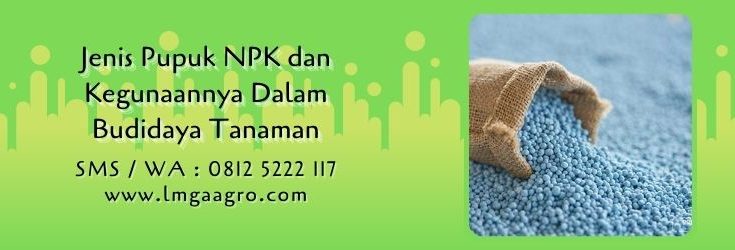 jenis pupuk npk dan kegunaannya,pupuk npk,pemupukan,budidaya tanaman,lmga agro