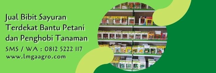 jual bibit sayuran terdekat,toko bibit sayuran terdekat,benih tanaman,bibit tanaman,petani,lmga agro