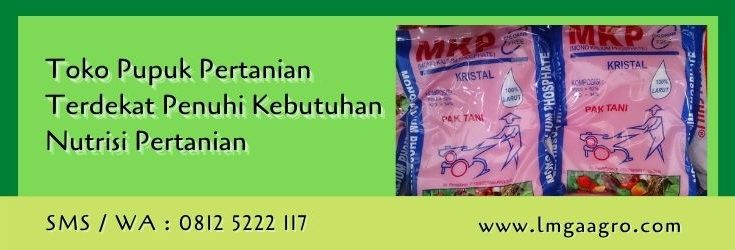 toko pupuk pertanian terdekat,toko pertanian,toko pupuk terdekat,budidaya tanaman,petani,lmga agro