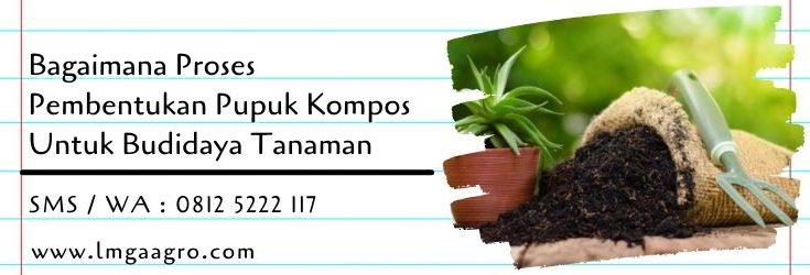 bagaimana proses pembentukan pupuk kompos,budidaya tanaman,pertanian,pupuk tanaman,pupuk,lmga agro