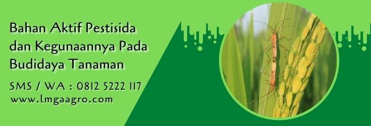 bahan aktif pestisida dan kegunaannya,pestisida,hama tanaman,obat hama,budidaya tanaman,petani,lmga agro