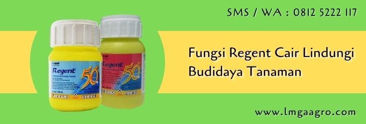 fungsi regent cair,insektisida,pestisida,budidaya tanaman,lmga agro