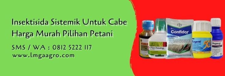insektisida sistemik untuk cabe,budidaya cabe,insektisida sistemik,insektisida,pestisida,petani cabe,lmga agro