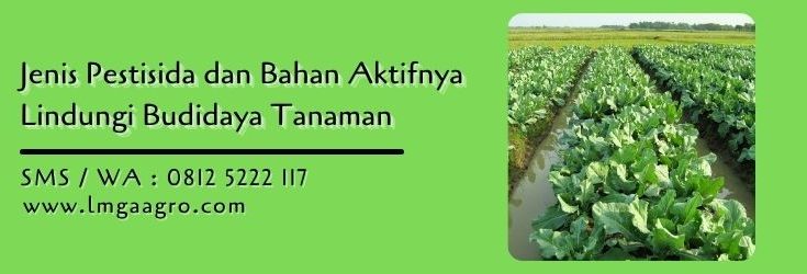 jenis pestisida dan bahan aktifnya,budidaya tanaman,pestisida,obat hama,pertanian,lmga agro
