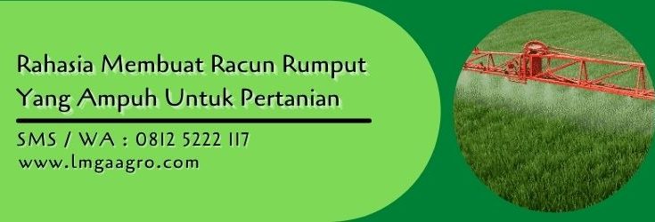 rahasia membuat racun rumput yang ampuh,racun rumput,racun rumput paling kuat,pestisida,lmga agro