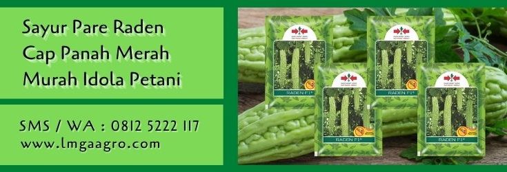 sayur pare raden,sayur pare,benih pare,benih paria,cap panah merah,lmga agro